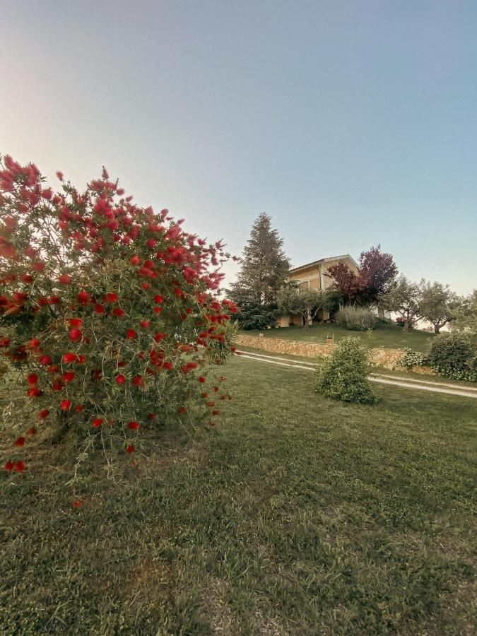 Bed and Breakfast Bed & Breakfast Le Coccinelle Rosciano  Zewnętrze zdjęcie