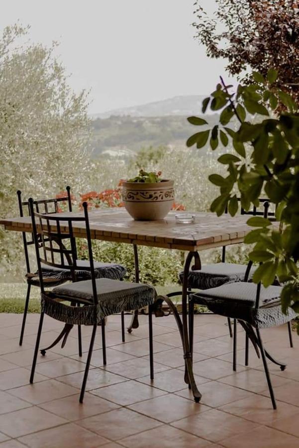 Bed and Breakfast Bed & Breakfast Le Coccinelle Rosciano  Zewnętrze zdjęcie
